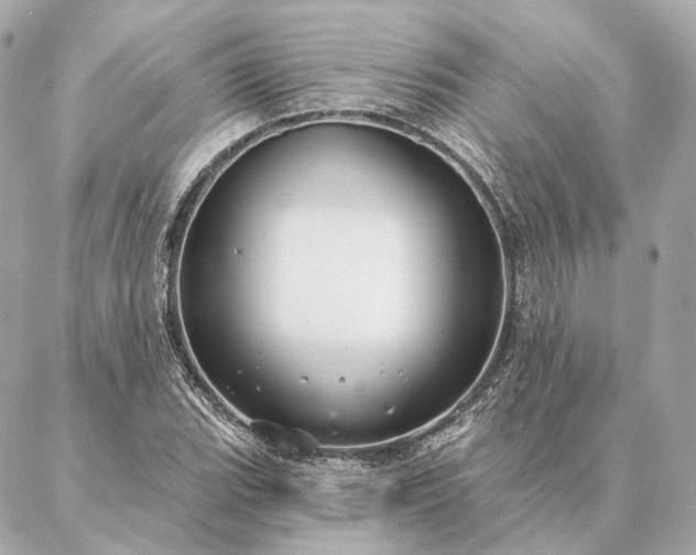 X0000086951119200704231419