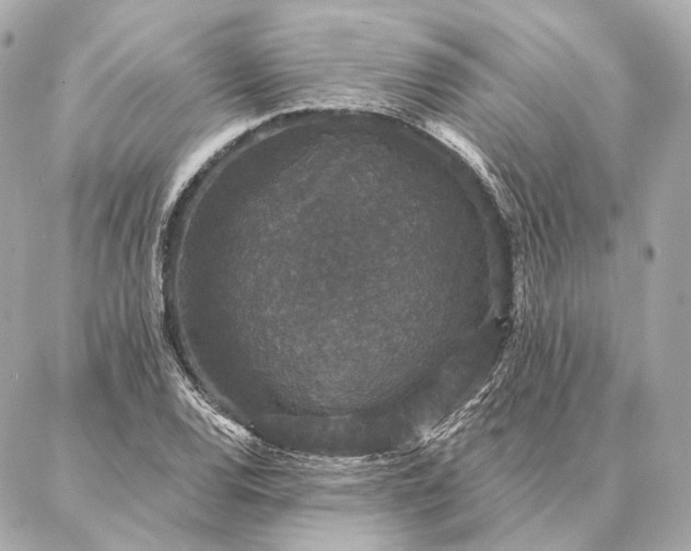 X0000086951120200704231419