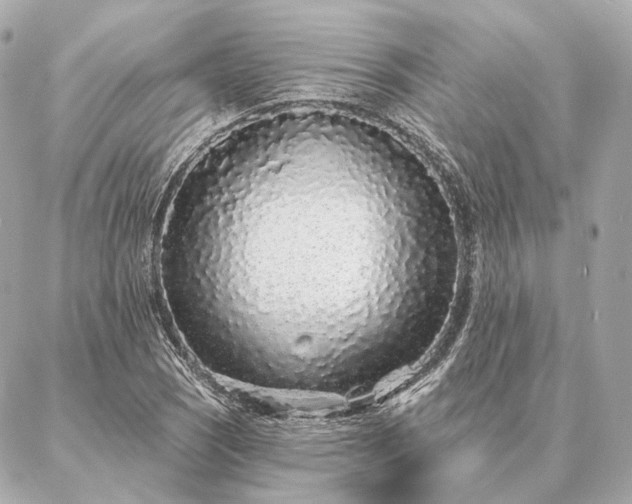 X0000086951121200704231419