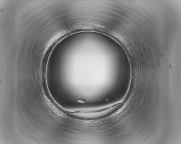 X0000086951122200704231419