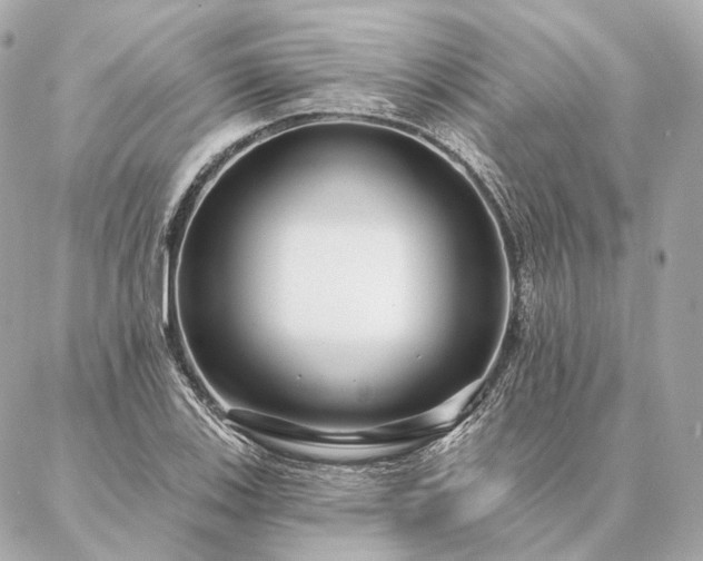 X0000086951123200704231419