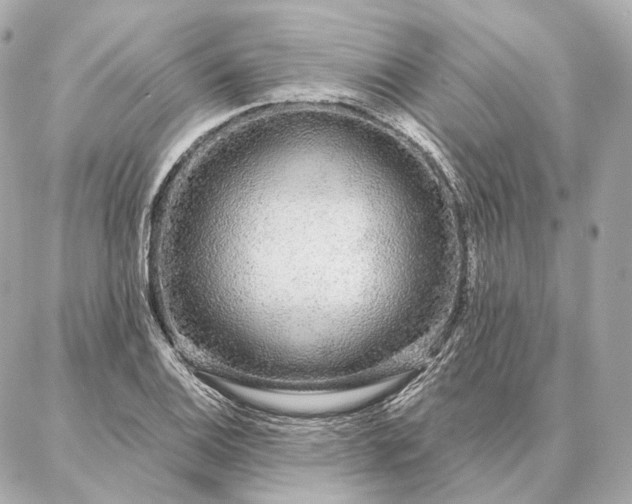 X0000086951124200704231419