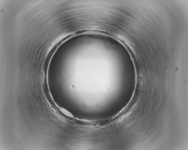 X0000086951125200704231419