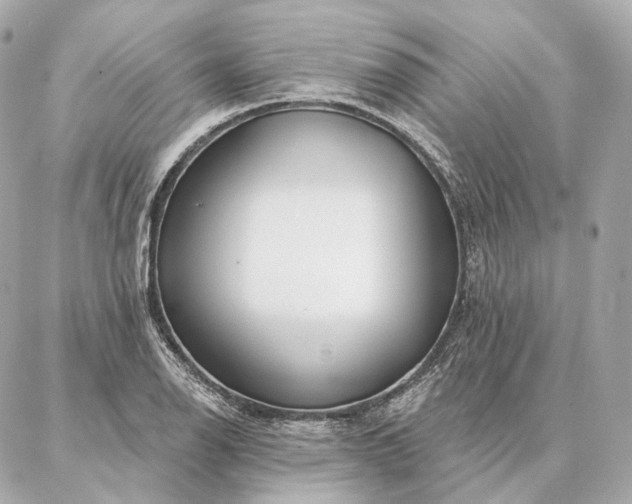 X0000086951126200704231419