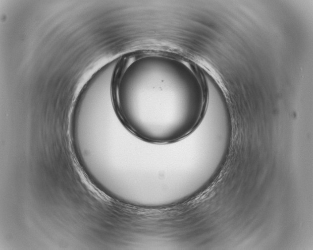 X0000086951128200704231419