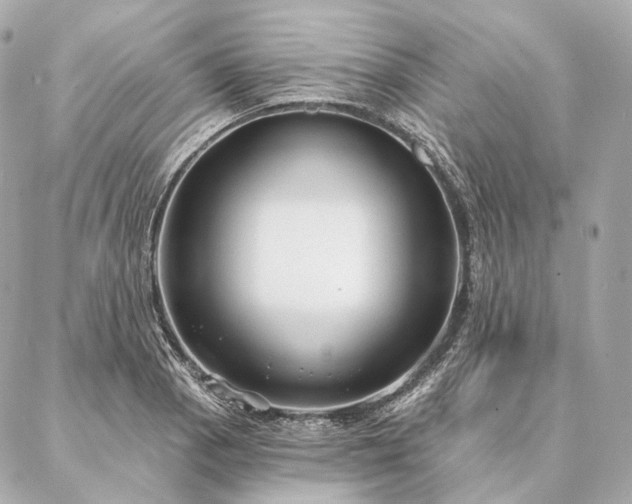 X0000086951129200704231419