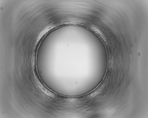 X0000086951130200704231419