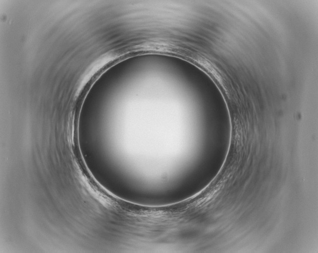 X0000086951131200704231419