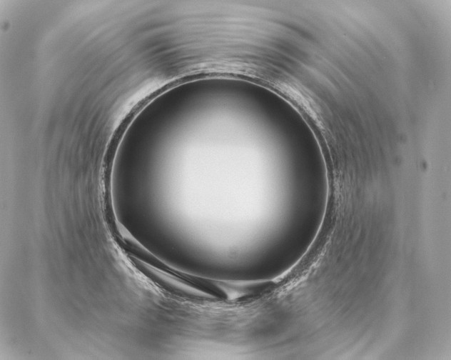 X0000086951133200704231419