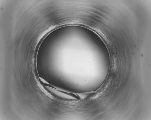 X0000086951134200704231419