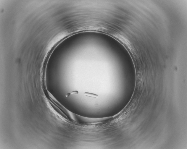 X0000086951135200704231419