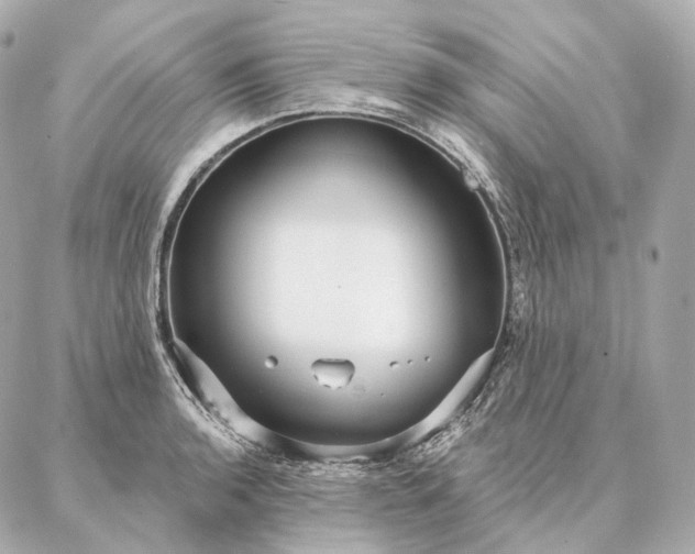 X0000086951136200704231419