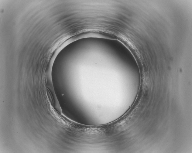 X0000086951137200704231419