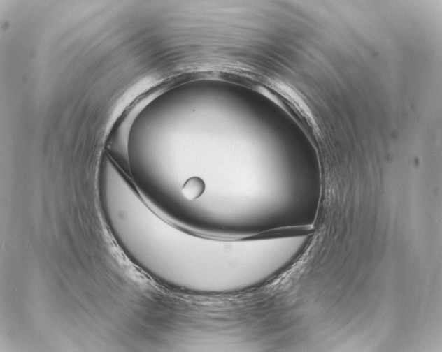 X0000086951138200704231419