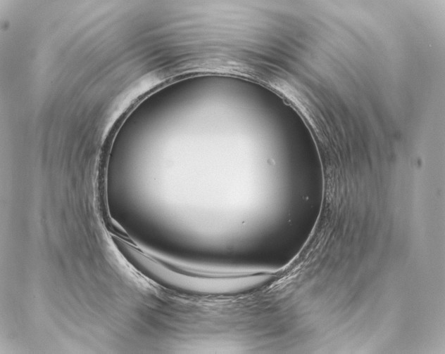 X0000086951139200704231419