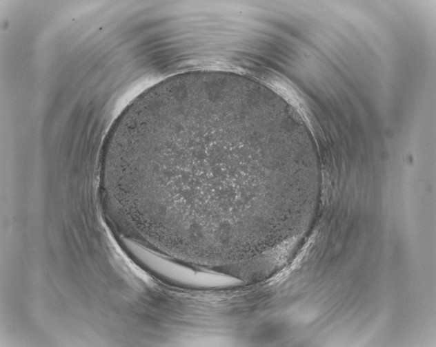 X0000086951141200704231419