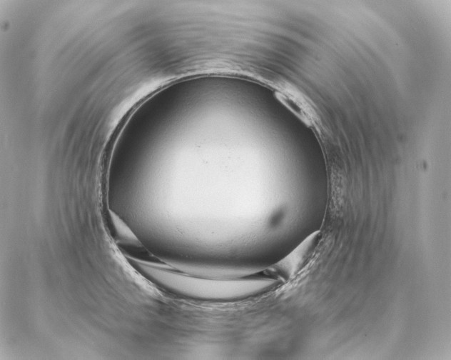 X0000086951142200704231419