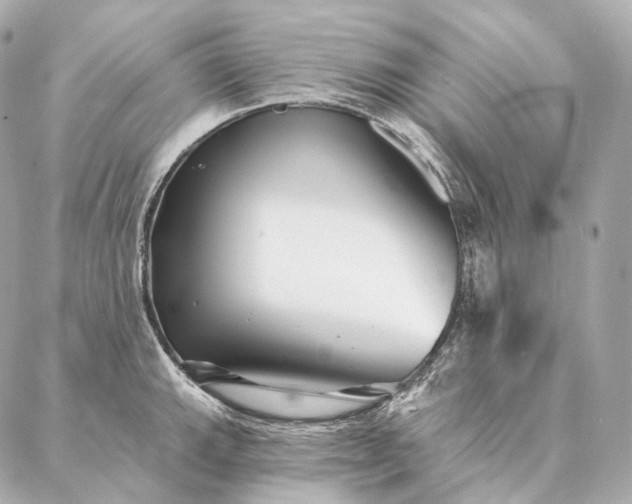 X0000086951143200704231419