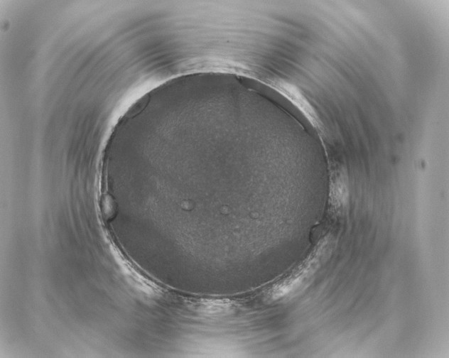 X0000086951144200704231419