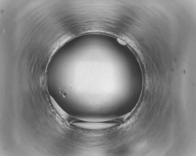 X0000086951145200704231419