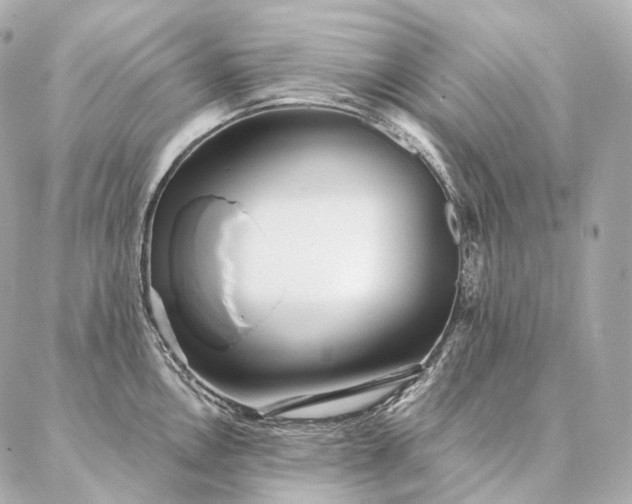 X0000086951146200704231419