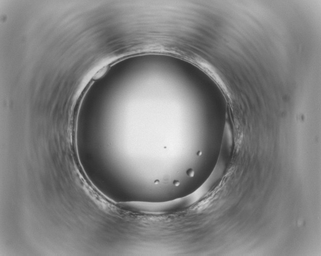 X0000086951148200704231419