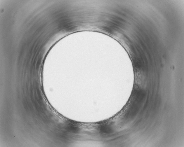 X0000086951150200704231419