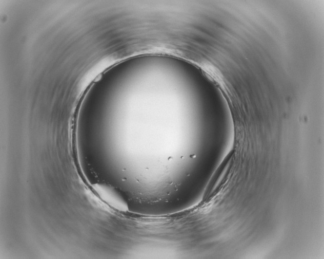 X0000086951151200704231419