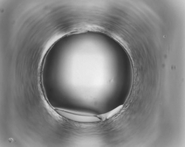 X0000086951152200704231419