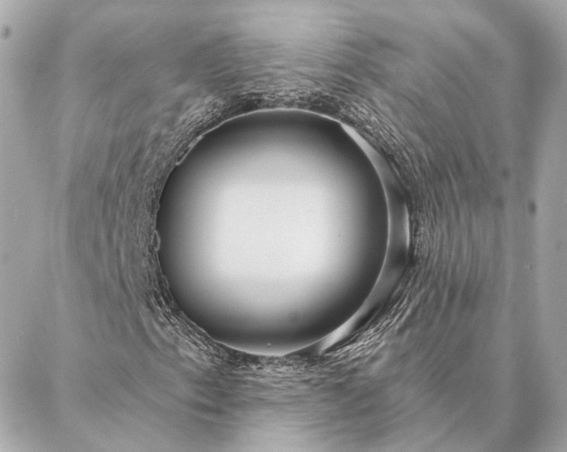 X0000086951153200704231418