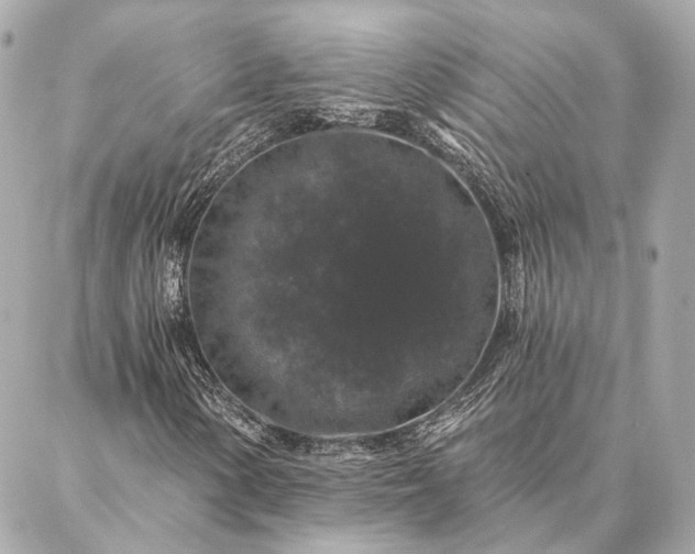 X0000086951154200704231418