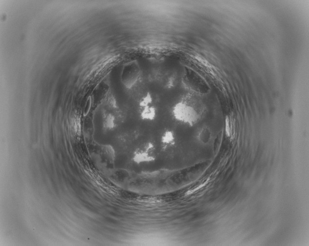 X0000086951155200704231418