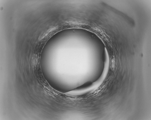 X0000086951157200704231418