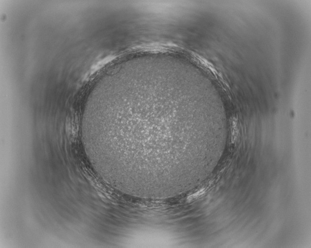 X0000086951158200704231418