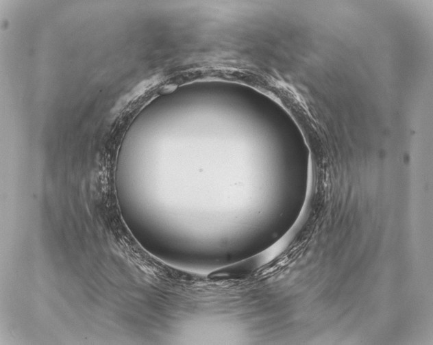 X0000086951159200704231418