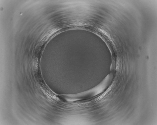 X0000086951161200704231418