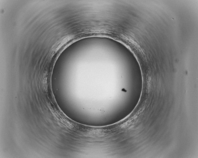 X0000086951162200704231418