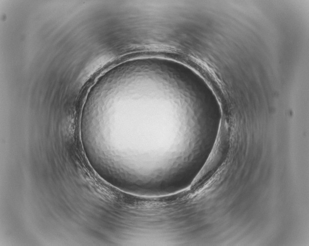 X0000086951163200704231418