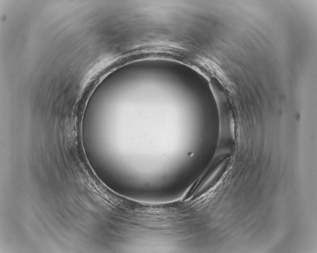 X0000086951164200704231418