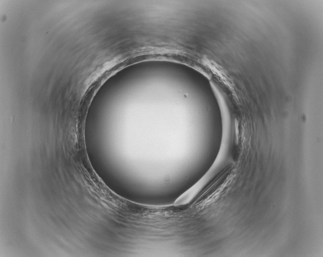 X0000086951165200704231418