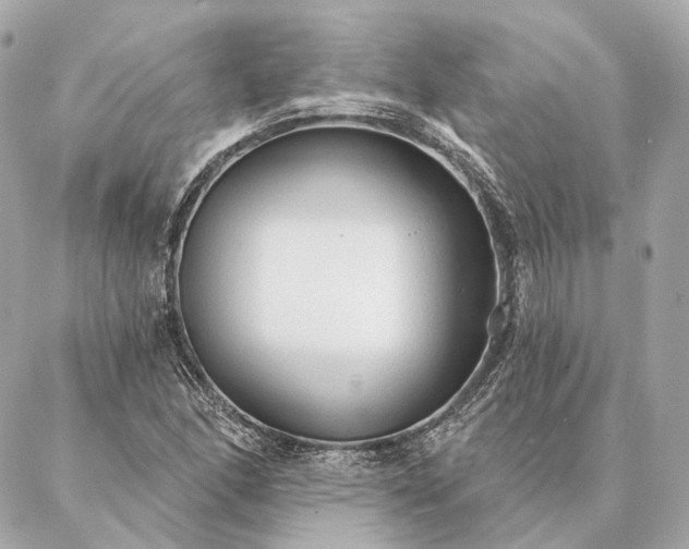 X0000086951166200704231418