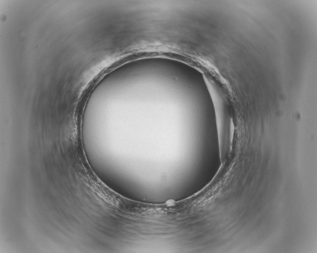 X0000086951167200704231418