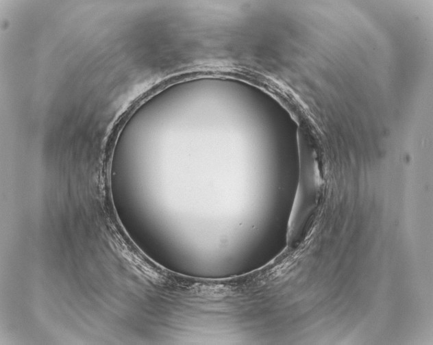 X0000086951168200704231418