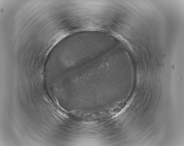 X0000086951170200704231418