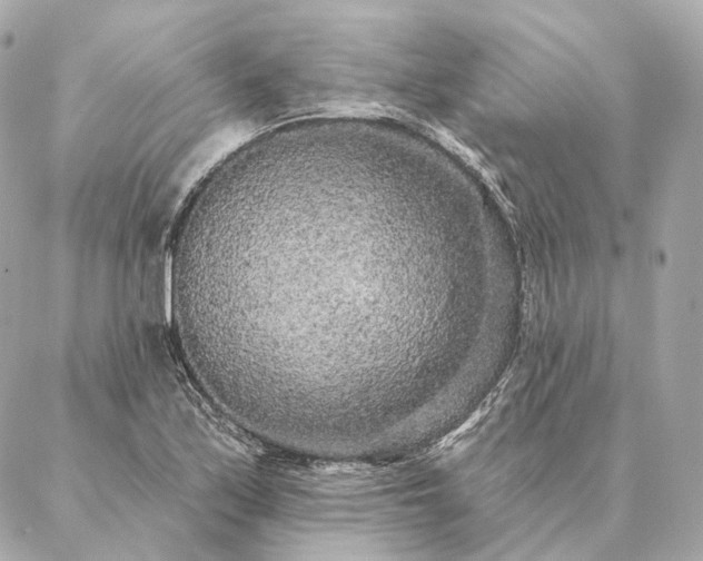 X0000086951171200704231418