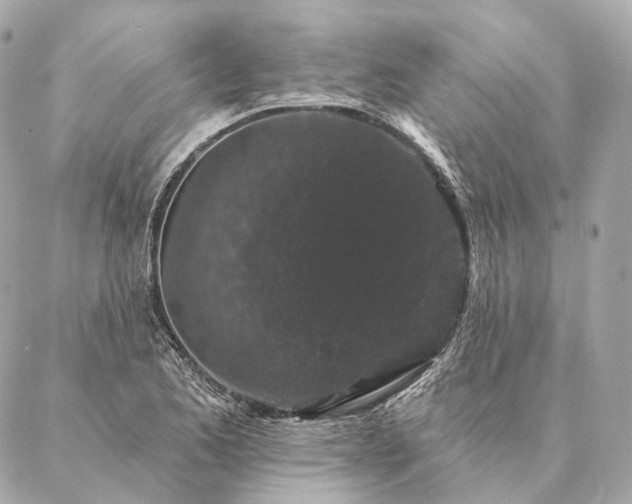 X0000086951173200704231418