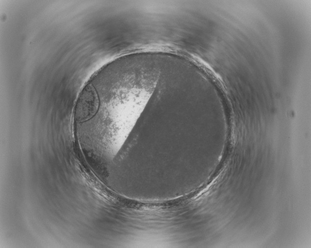 X0000086951174200704231418