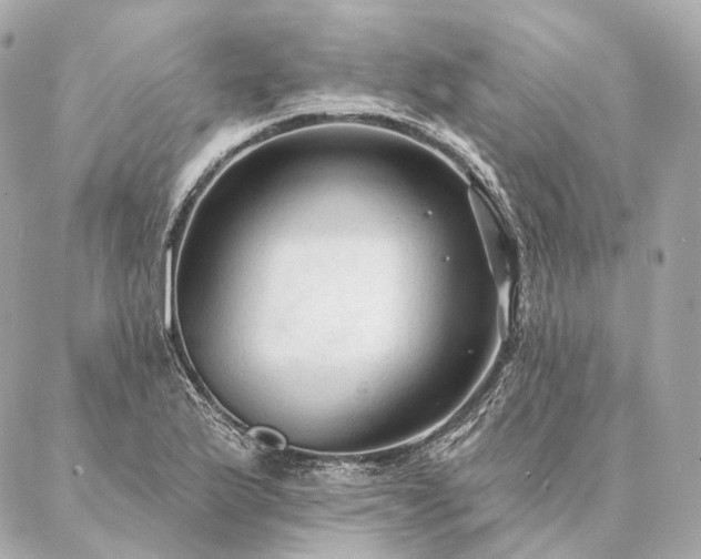 X0000086951175200704231418