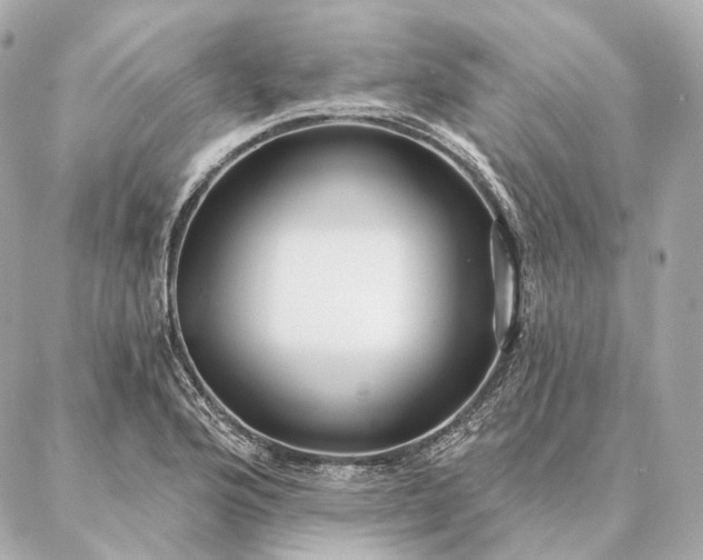 X0000086951176200704231418