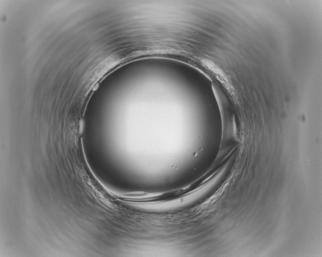 X0000086951177200704231418